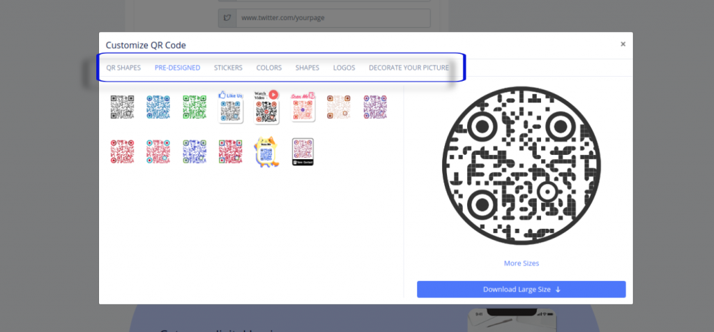 Пользовательские параметры QR