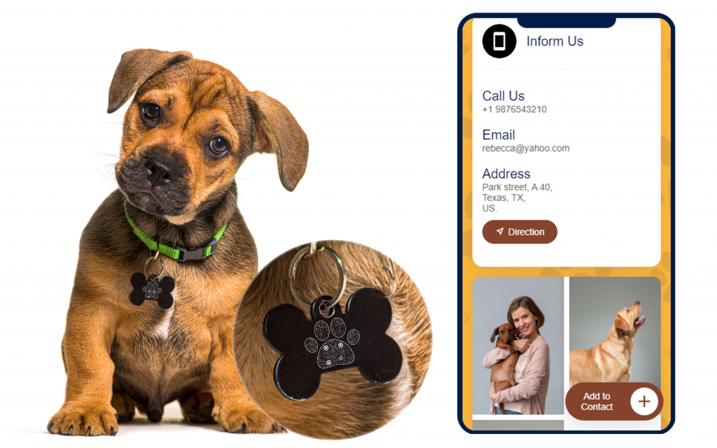 Formas innovadoras de utilizar etiquetas con nombres de perros