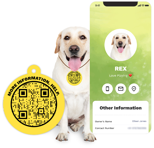 Página de visualización de muestra de código QR de etiqueta de identificación de mascota con código QR de demostración